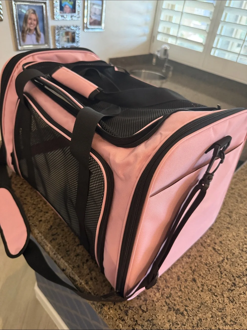 Small Pet Pink and Black Mesh Carrier